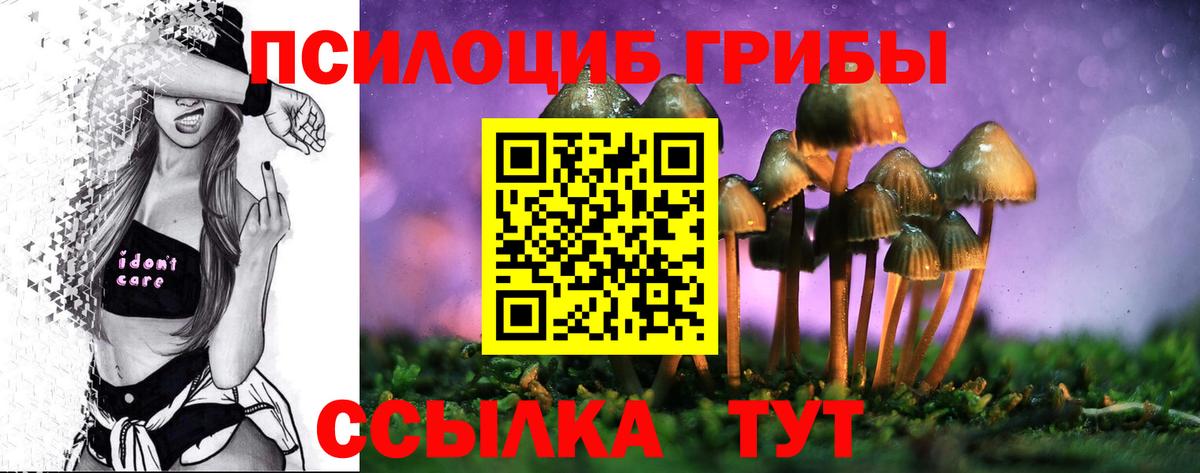 Ликино-Дулёво  дарнет шоп  Вход с VPN  Псилоцибиновые грибы Psilocybe 